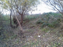 20151110_151708.jpg