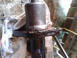 IMG_20130811_195139.jpg