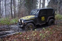 wrangler_2_m.jpg