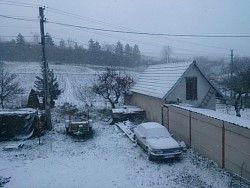 DSC_0174.jpg