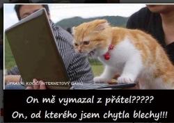 0xouh2ajutumxa1hx3ta.jpg