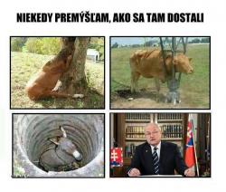 1zklq0p4wgtxeinwtvbc.jpg