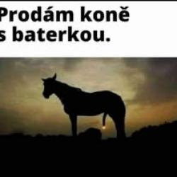 2xwnjwv7kn9pl1m9iduj.jpg