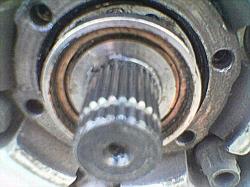 3gfk6hg32pih81knpk0d.jpg