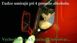 4vmkzhorbq89j2kmwk2l.jpg