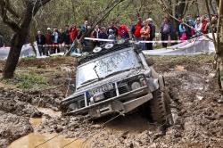 4zr9rxjku6ppwmj4x6ra.jpg