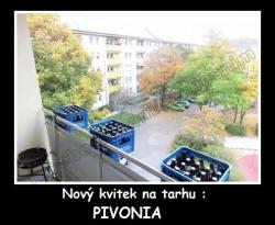 56nzllih902zrj5zg4co.jpg