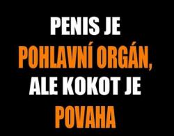 7qw61th0qi769y4h01fy.jpg
