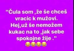 9lzgsqt5y7tst8fy51yf.jpg