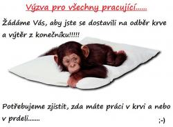 brw3tdpfd3h9vzunb47p.jpg