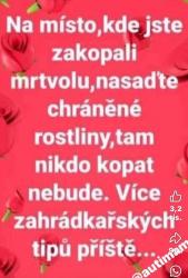 ctuq2wvri43reechuwu7.jpg