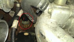 ec80dcluayz1gvmqa8kb.jpg