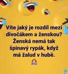 emexmcpjaeug7t2wd34m.jpg