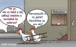 gym4f29luo4aueaifd4i.jpg