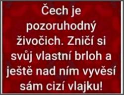 hmnjhi9uj8tl6cetrfqx.jpg