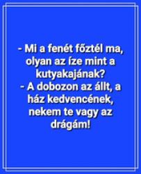hod9axz5wbnh8jdjvn49.png