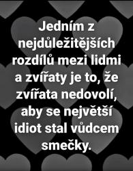iwk2ebh9i7cj2y4nzfph.jpg