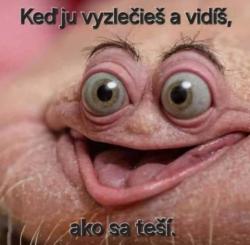 jpyep70mpeqvh2guoupz.jpg