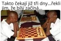 ladyu996brr6hie7vzri.jpg