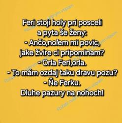 lkoudmjg7pg4nd966dhp.jpg