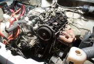 mp10uby5lzs5nm99thmk.jpg