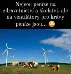 na25wxduq3fqv3lhfjhs.jpg