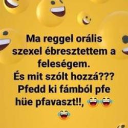 nl2r3izlgla3w42pdggp.jpg