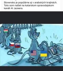 oz9xeoaslgqpcfycf233.jpg