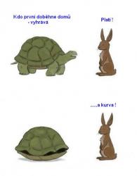 ozaljircpqxh2olhfzdi.jpg