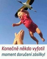 qveu2vi1m36ku75wroy2.jpg