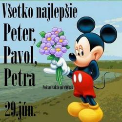 rkgajpbot6bd479sic13.jpg