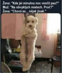 sb506kztcu9pysadiu12.jpeg