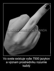sh2v62gjfi6x81mdsec5.png