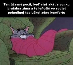 sidzy2e87a8g950vk1a1.jpg