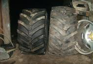 t165nb557gs1aobgdcci.jpg