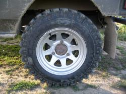 w19lchi0igx48lj8hnml.jpg