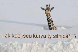 xnv5uybpgty061vzbkjm.jpg