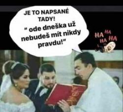 y7j01qdxx8nxma4f3skd.jpg
